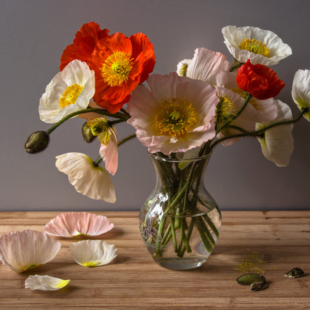 Букет крупных красивых маков в прозрачной вазе