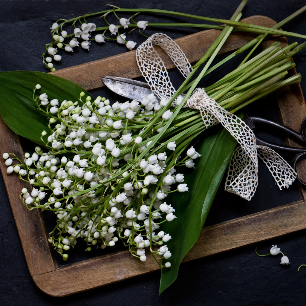 Букет белых ландышей с ножницами на столе