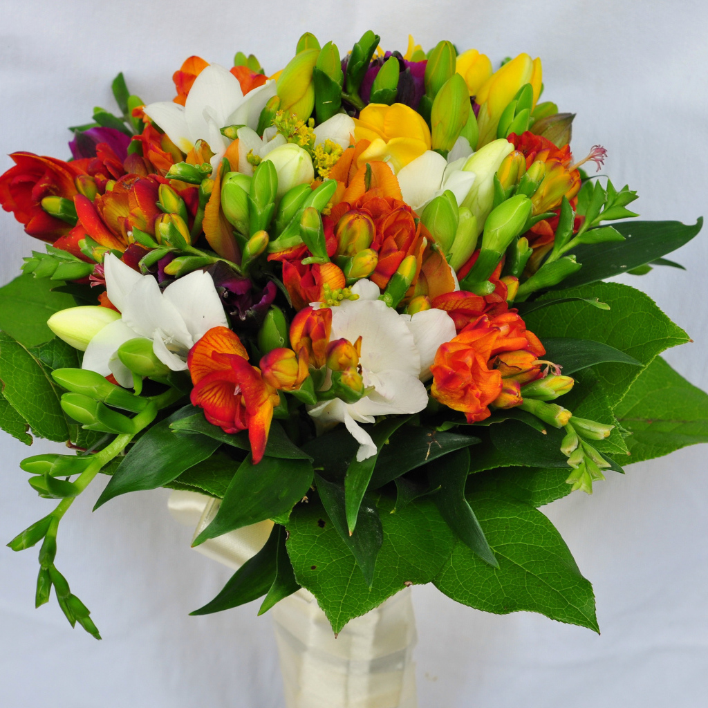 Красивый букет фрезий на сером фоне