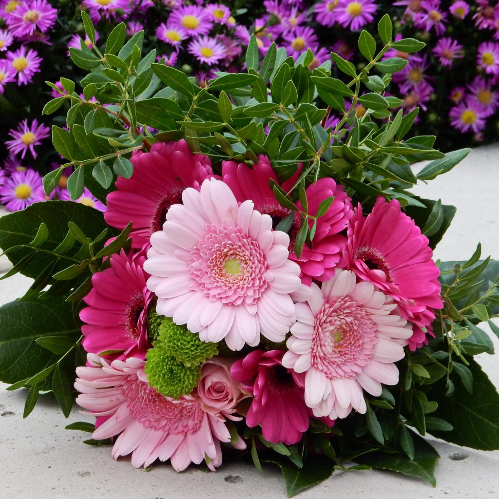 Красивый букет розовых гербер 