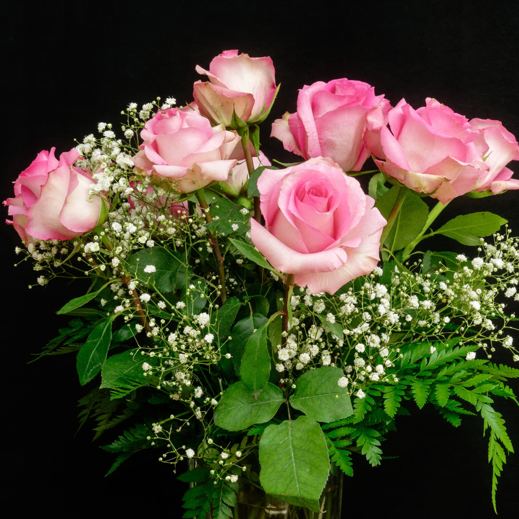 Красивый букет розовых роз с белыми цветами на черном фоне