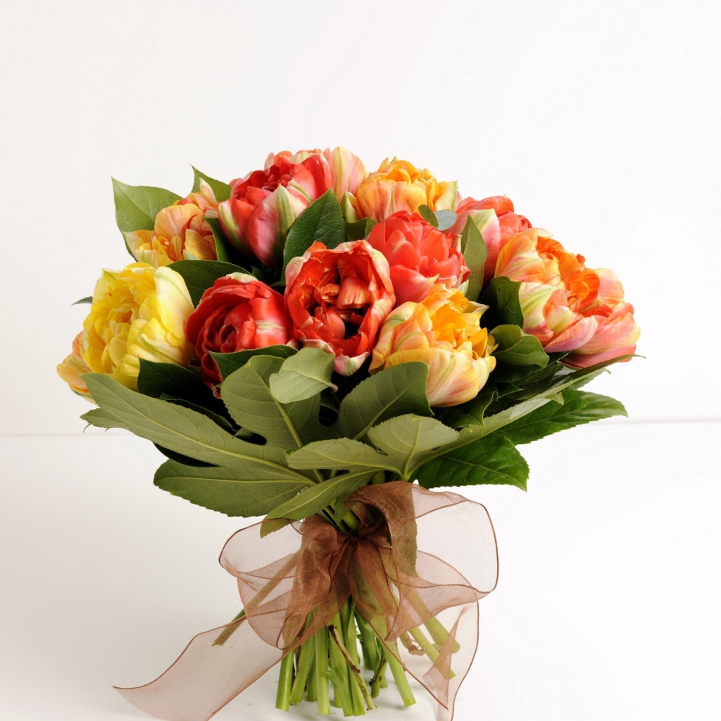 Красивый букет тюльпанов на белом фоне