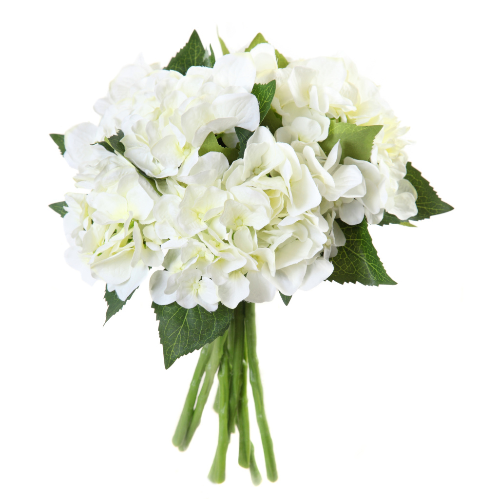Красивый нежный букет с белыми цветами гортензии