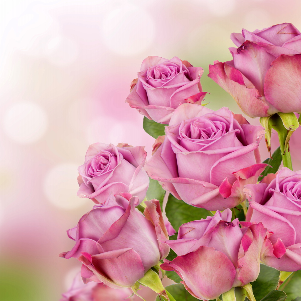 Букет красивых розовых роз 