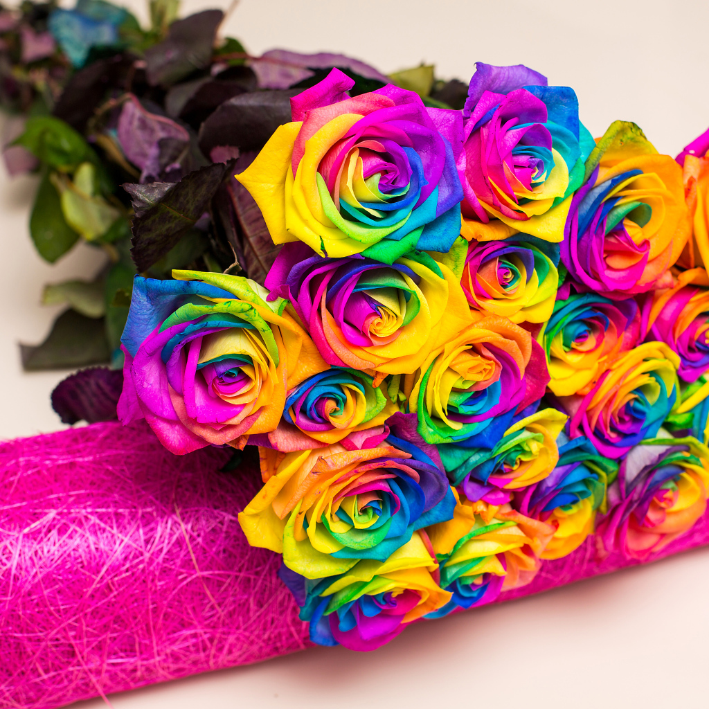 Букет разноцветных ярких роз на сером фоне