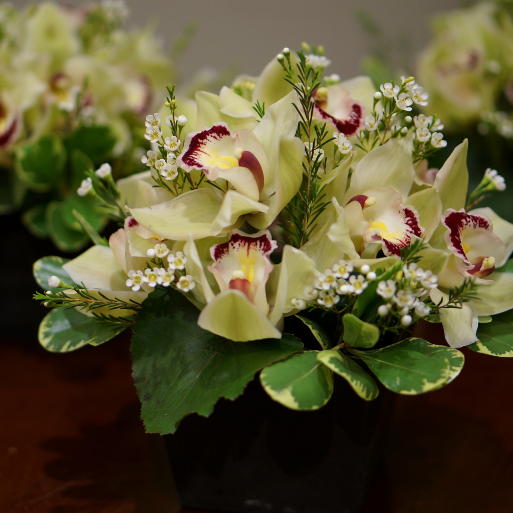 Букет нежной орхидеи и морозника