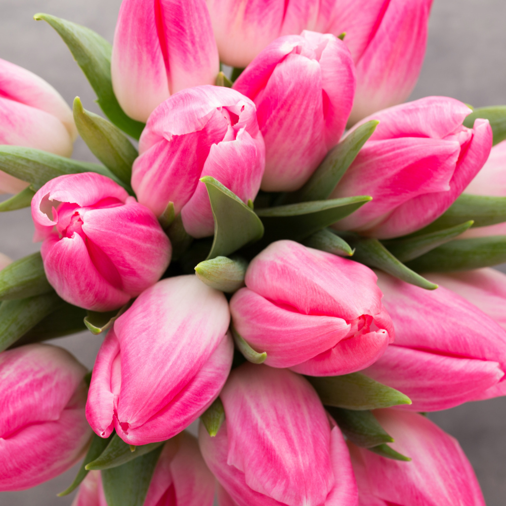 Букет нежных розовых тюльпанов 