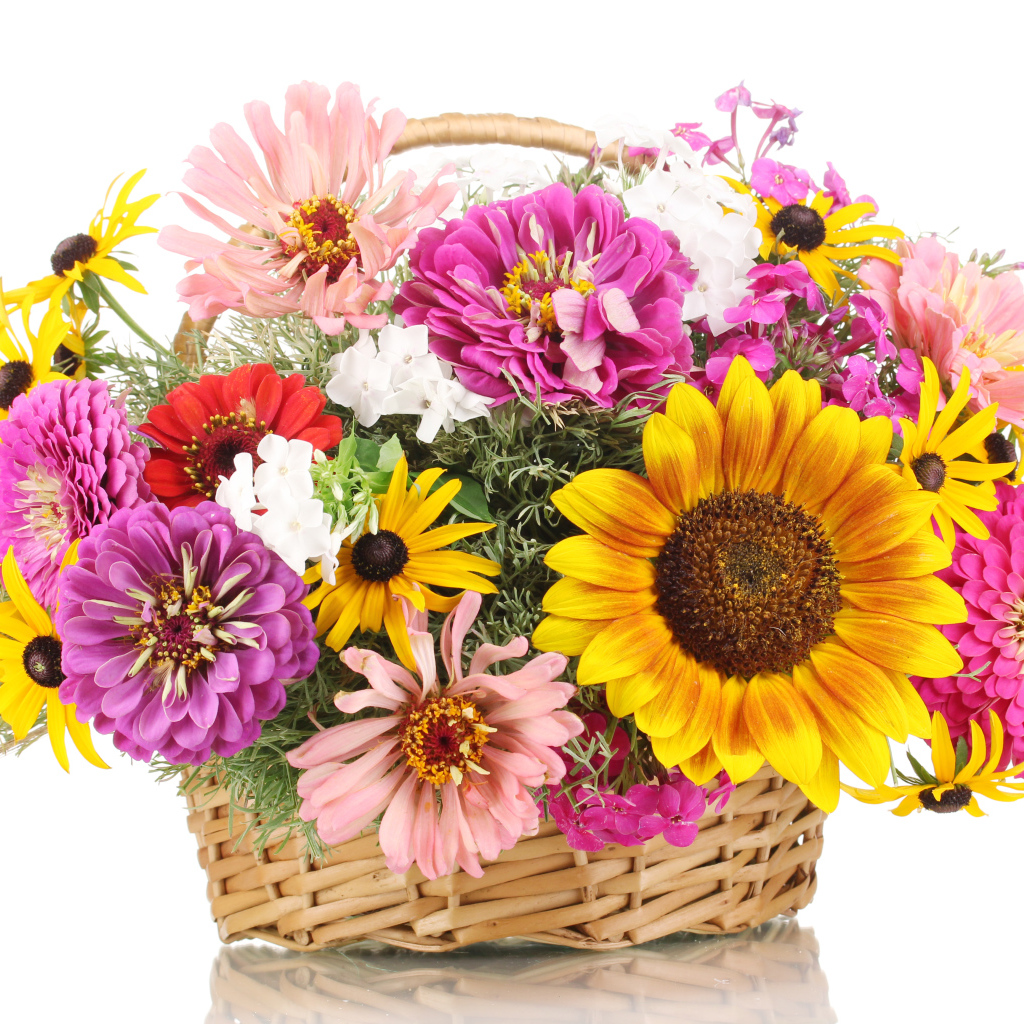 Букет цветов цинии, рудбекии и подсолнуха в корзине на белом фоне