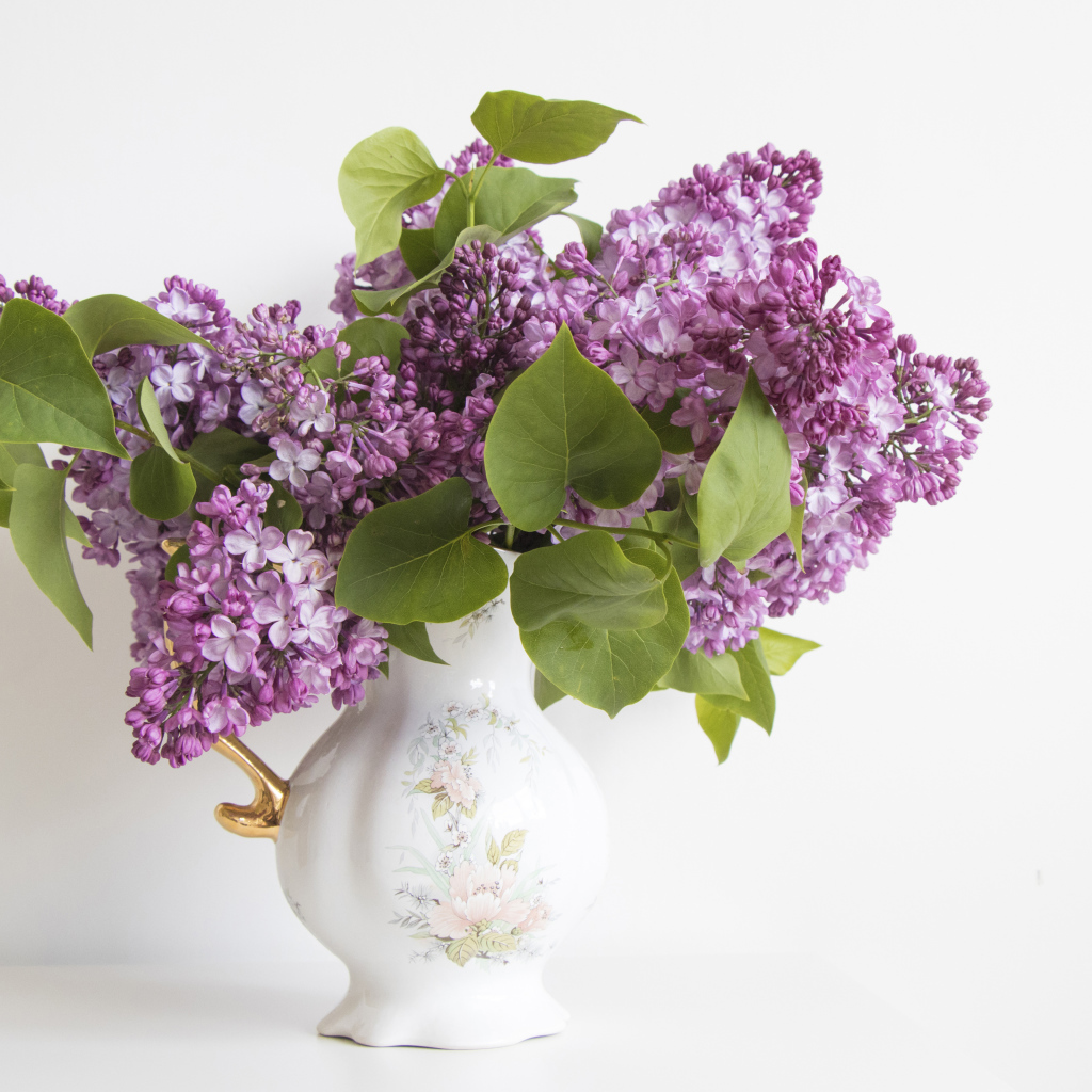 Букет сирени в красивой вазе на белом фоне