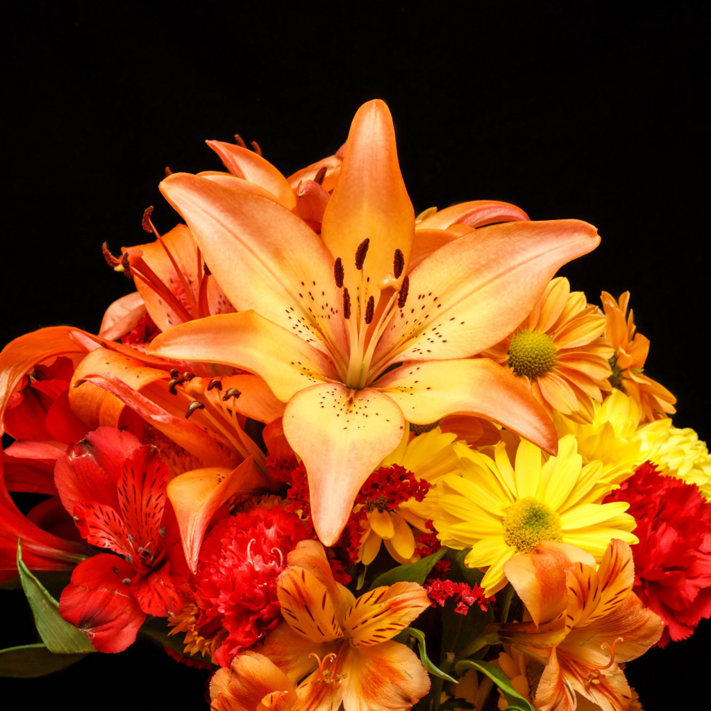 Букет разноцветных лилий на черном фоне 