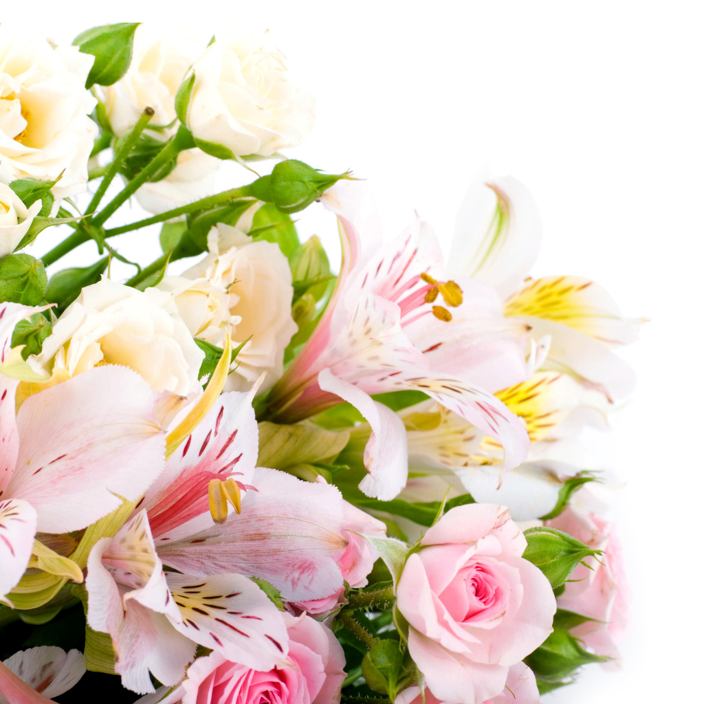 Букет из розовых и белых роз и цветов альстрёмерия на белом фоне