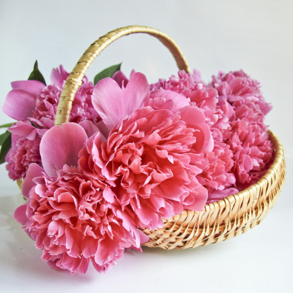 Букет розовых пионов в корзине 