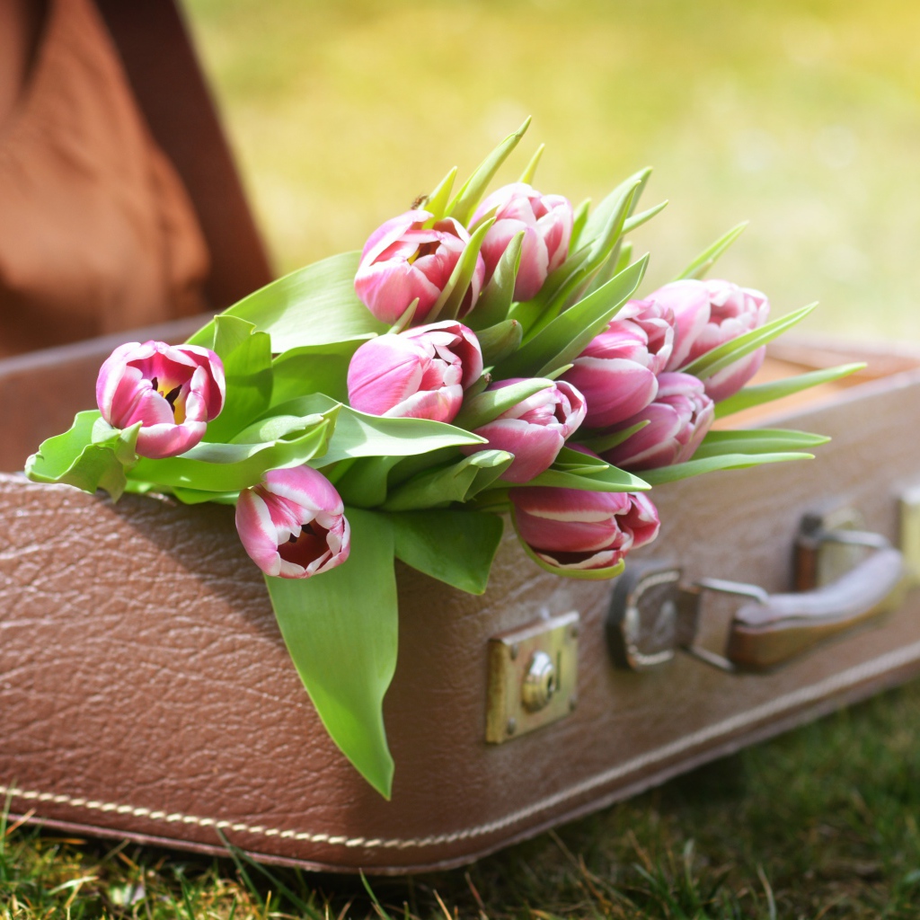 Букет розовых тюльпанов в кожаном чемодане