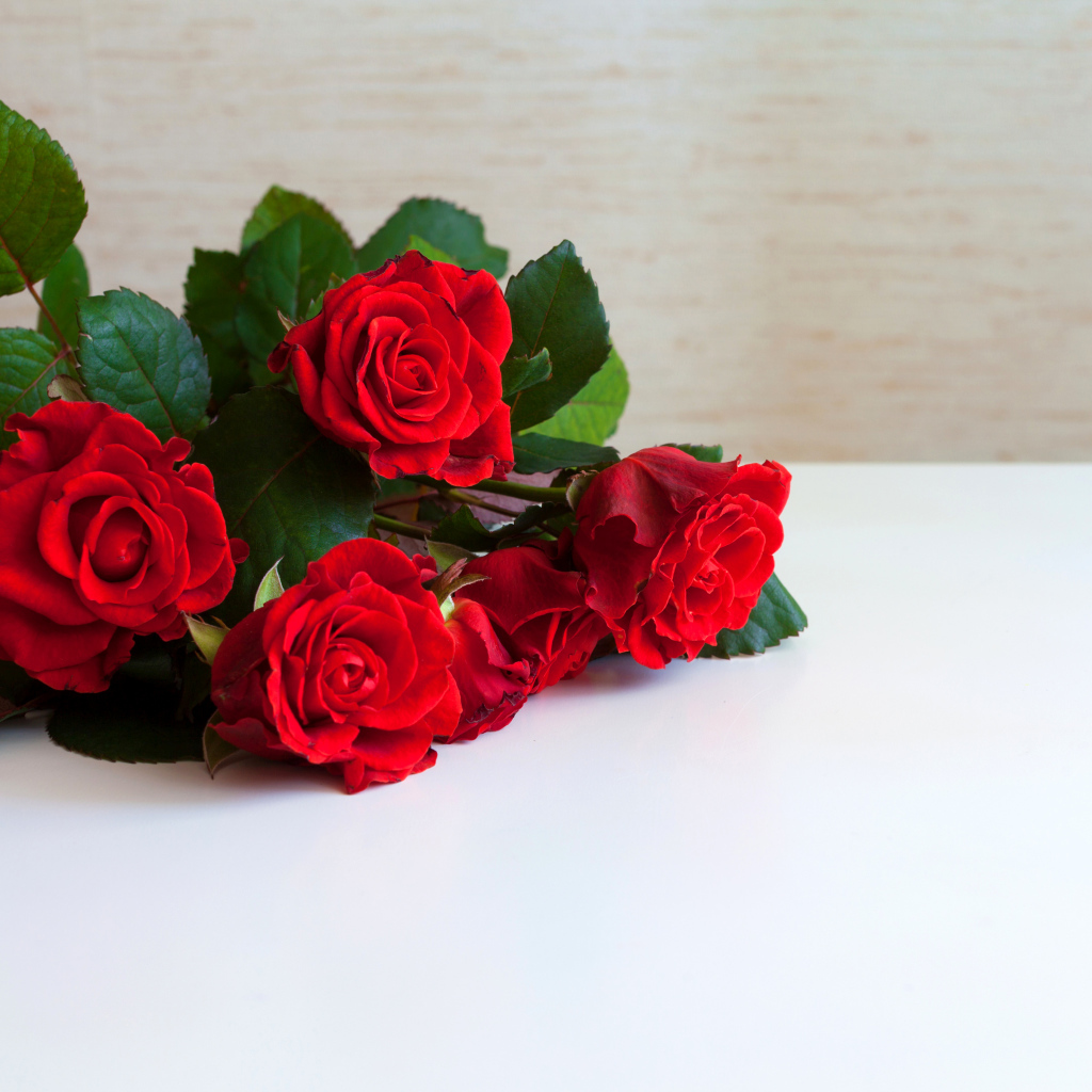 Букет красных роз на белой поверхности, шаблон