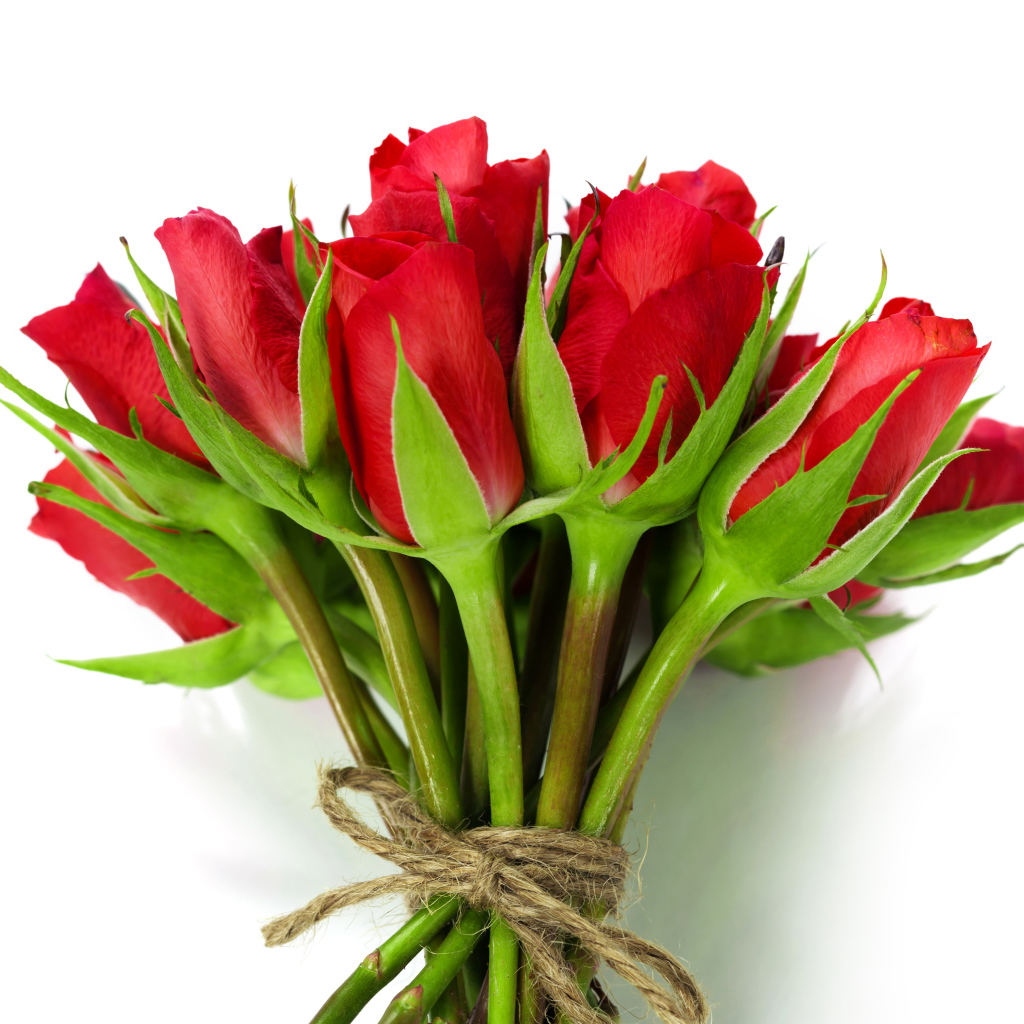 Букет красных роз перевязан веревкой на белом фоне