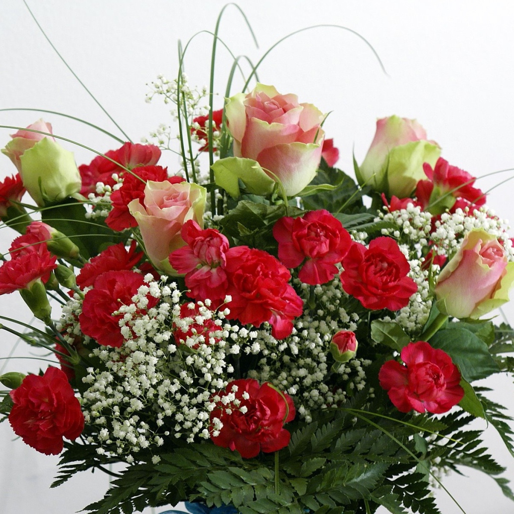 Букет роз с гвоздиками и зеленью на белом фоне