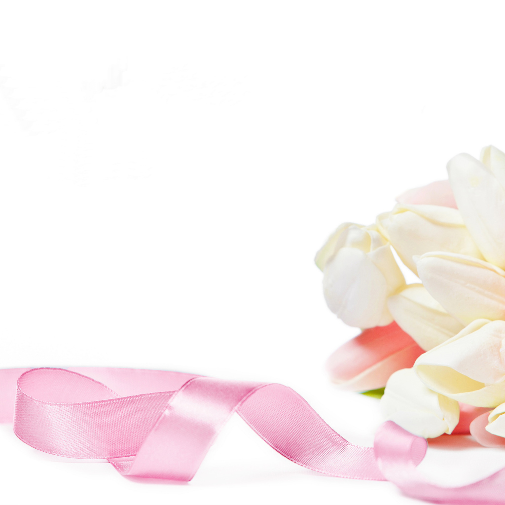 Букет тюльпанов с розовой лентой на белом фоне, шаблон для поздравительной открытки