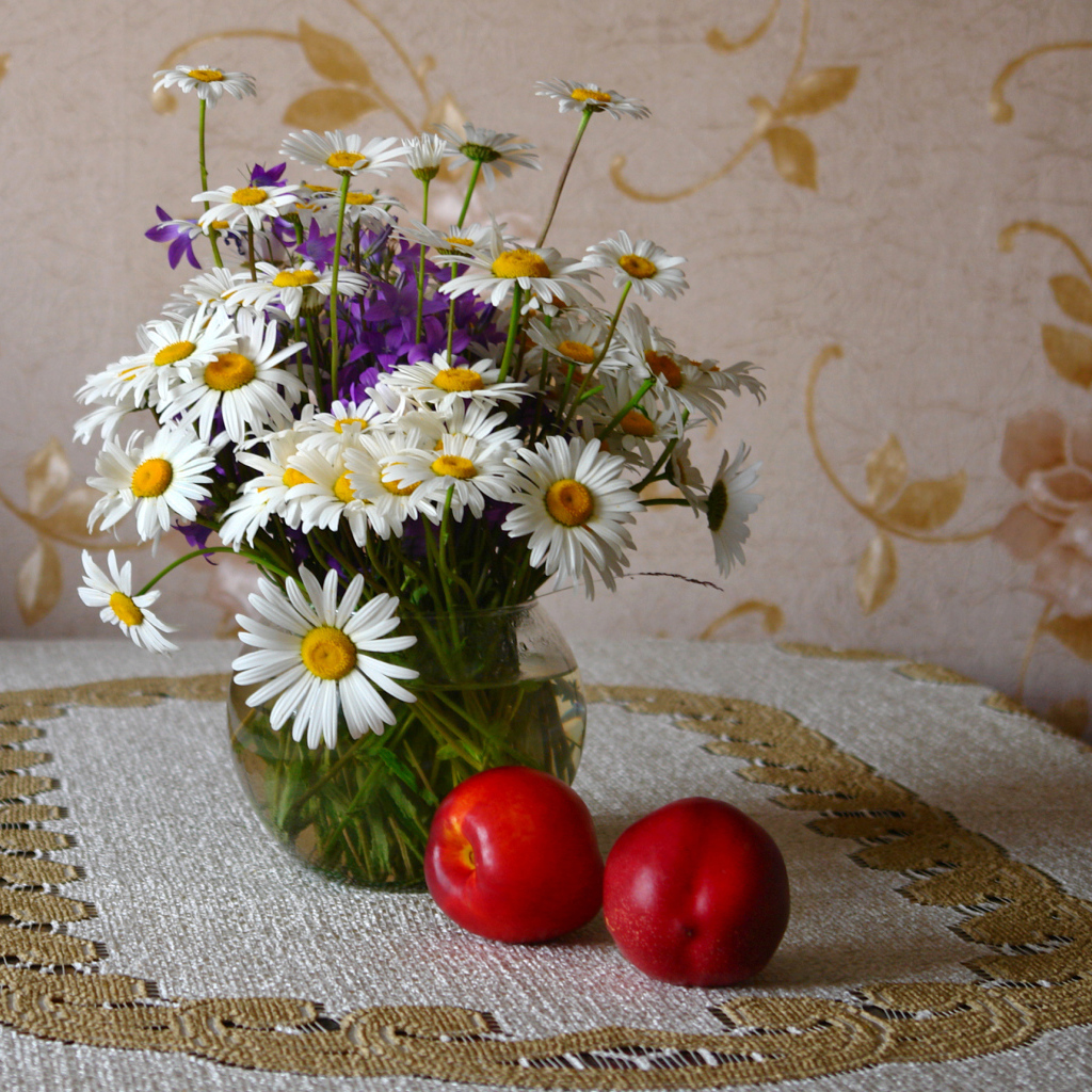 Букет белых полевых ромашек в вазе на столе с розовыми персиками