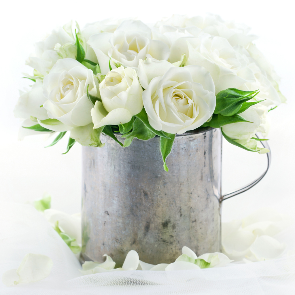 Букет белых роз в железной кружке на белом фоне