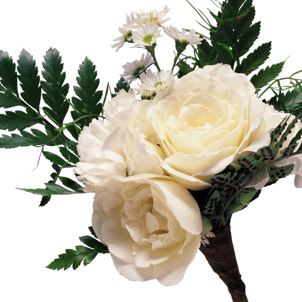 Букет из белых роз с ромашками и большими зелеными листьями на белом фоне