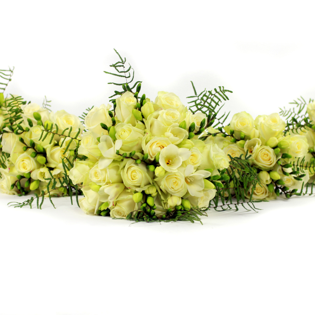 Букеты белых роз и фрезии на белом фоне