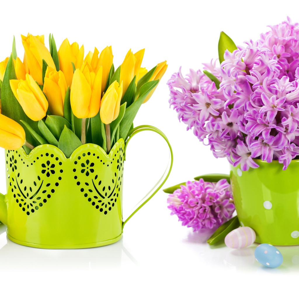 Композиция с желтыми тюльпанами и сиреневыми гиацинтами на белом фоне