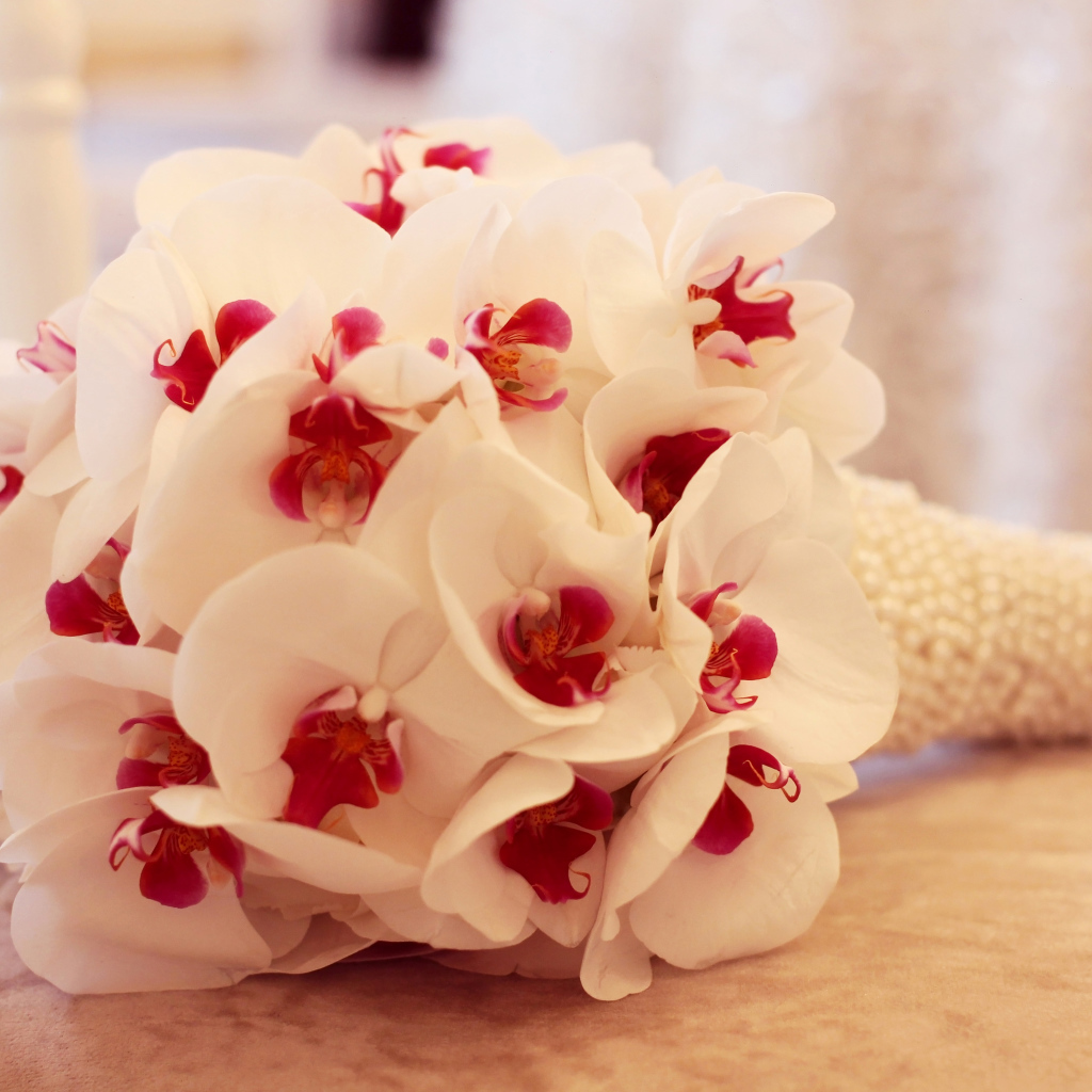 Нежный букет белой орхидеи