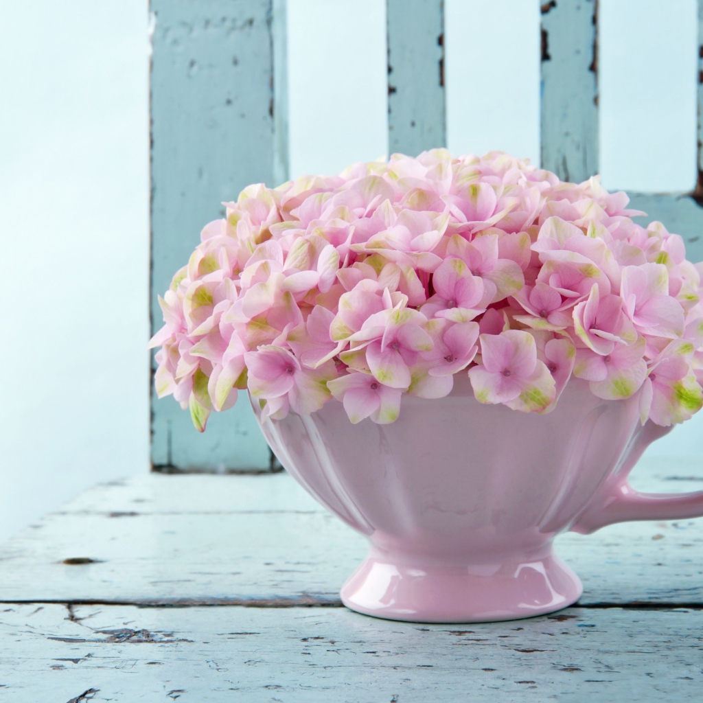 Нежные розовые цветы в белой вазе