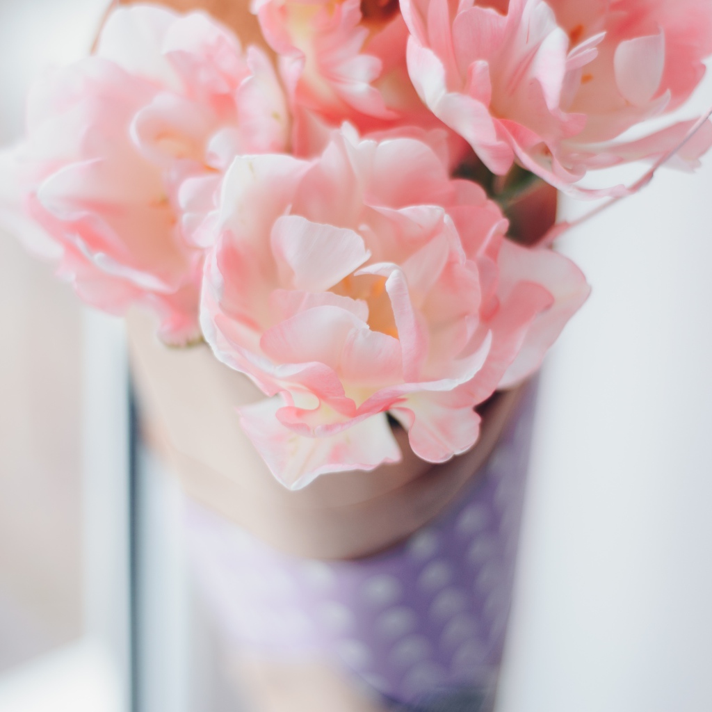 Нежные розовые цветы тюльпаны 