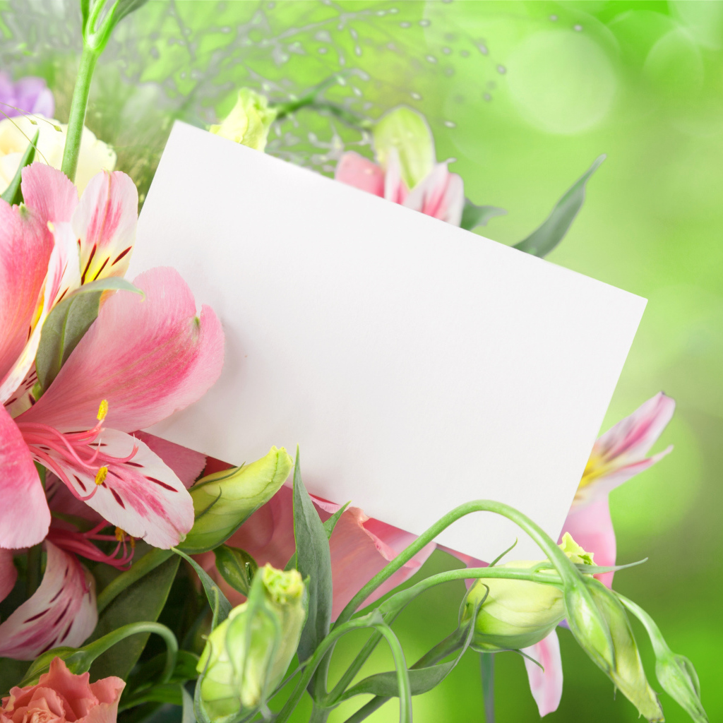 Цветы альстрёмерия и эустома, шаблон для открытки