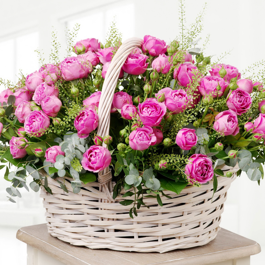 Большая корзина розовых роз на белом фоне