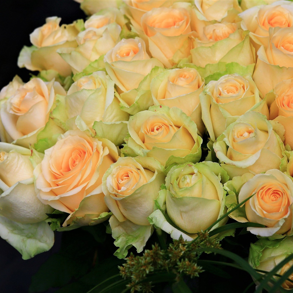 Большой букет нежных роз персикового цвета