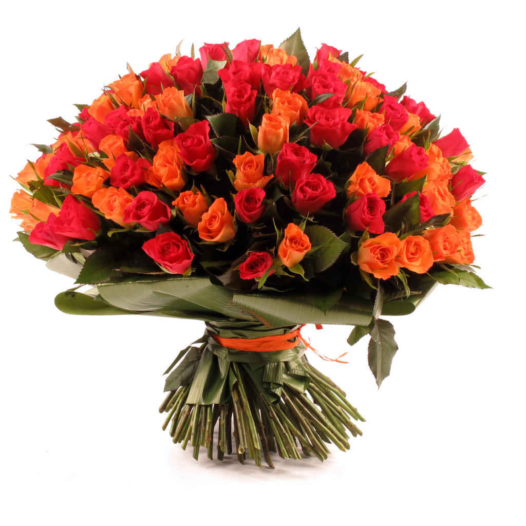 Большой букет оранжевых и розовых роз на белом фоне