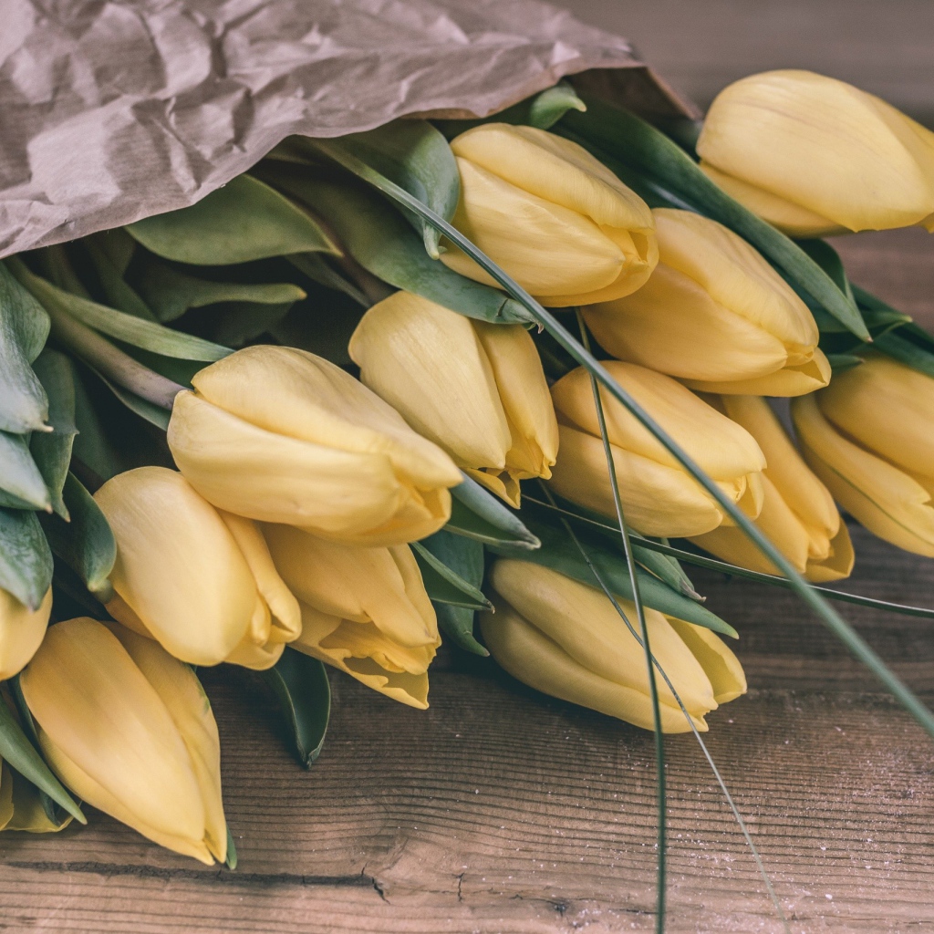 Большой букет желтых тюльпанов в бумаге 