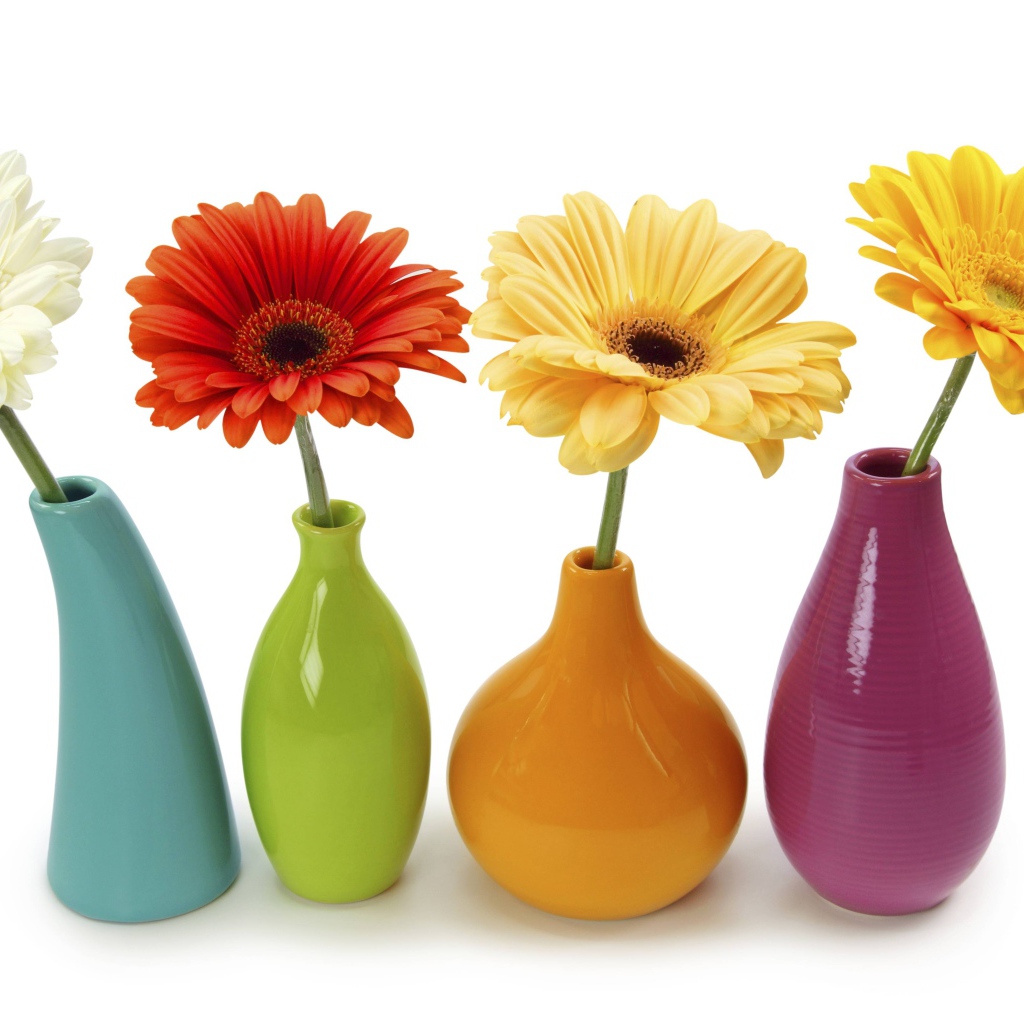 Разноцветные герберы в вазах на белом фоне 