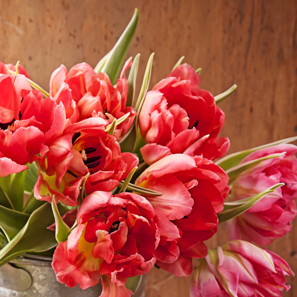 Розовые тюльпаны крупным планом в вазе