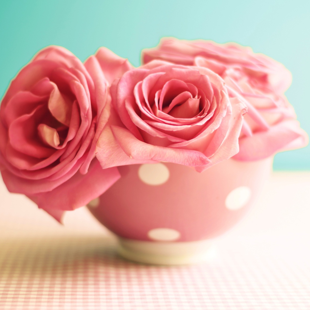 Три розовые розы в вазе на голубом фоне