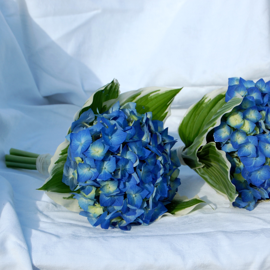 Два букета цветов гортензии