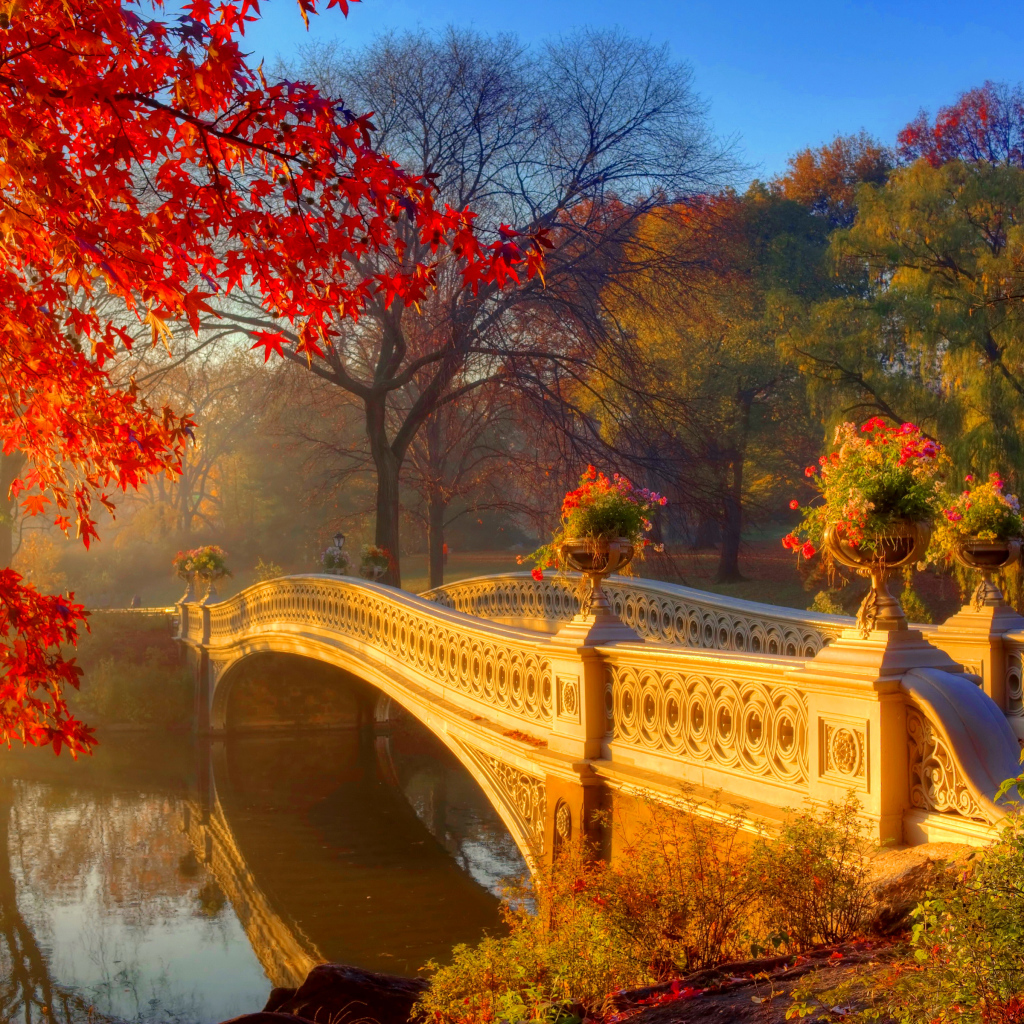 Мост над рекой в красивом осеннем лесу с покрытыми  золотыми листьями деревьями