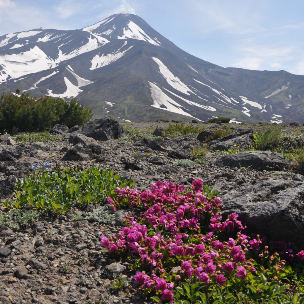 Вершина Авачинского вулкана, Камчатка. Россия 