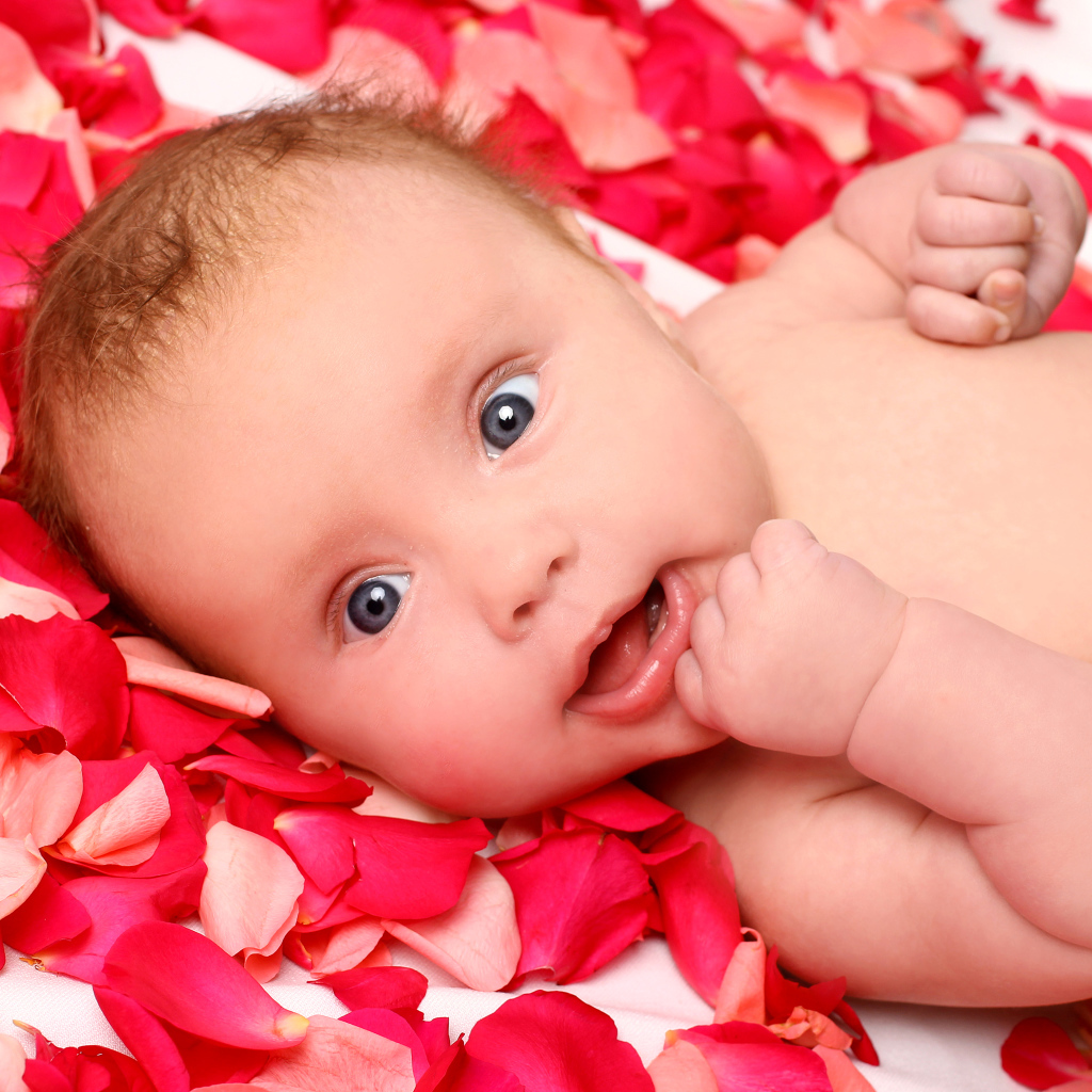 Грудной ребенок лежит на лепестках красной розы