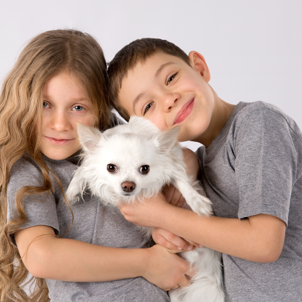 Мальчик и девочка держат в руках белого чихуахуа
