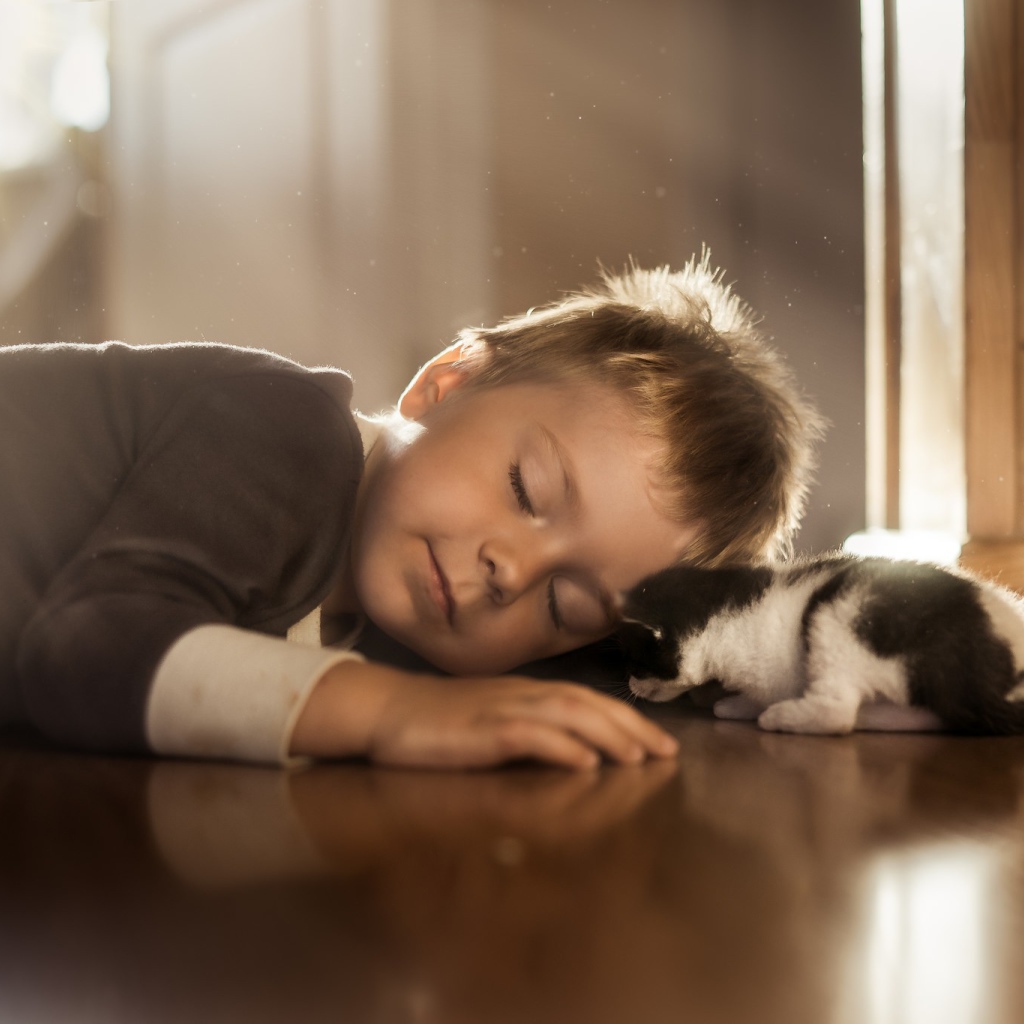 Спящий маленький мальчик и маленький котенок