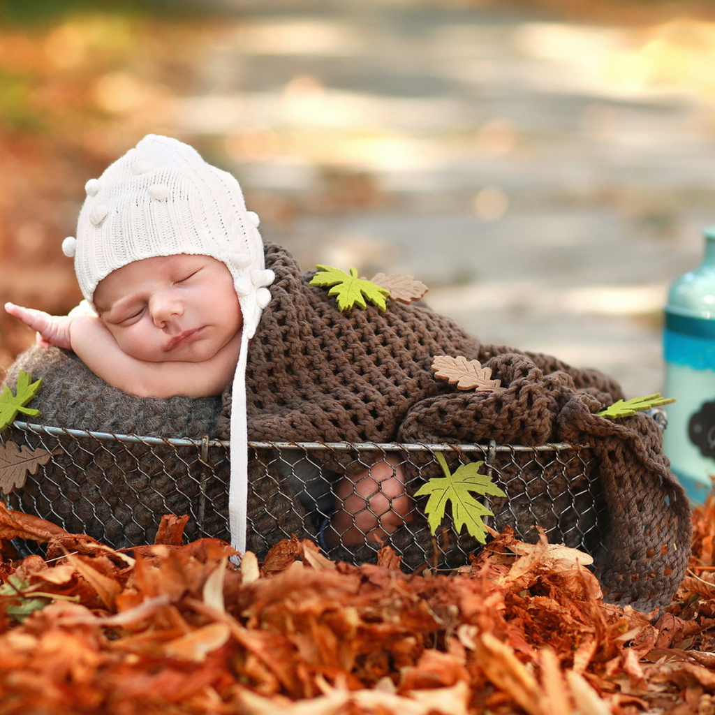 Маленький грудной ребенок спит в корзине на опавшей листве осенью