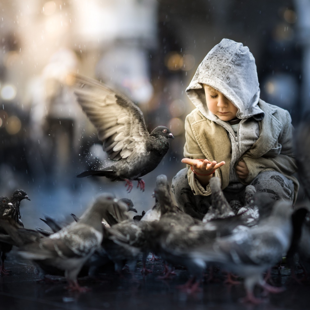 Маленький ребенок кормит голубей 