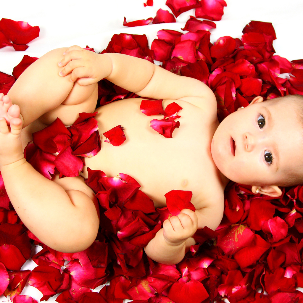 Милый грудной ребенок лежит на лепестках розы на белом фоне