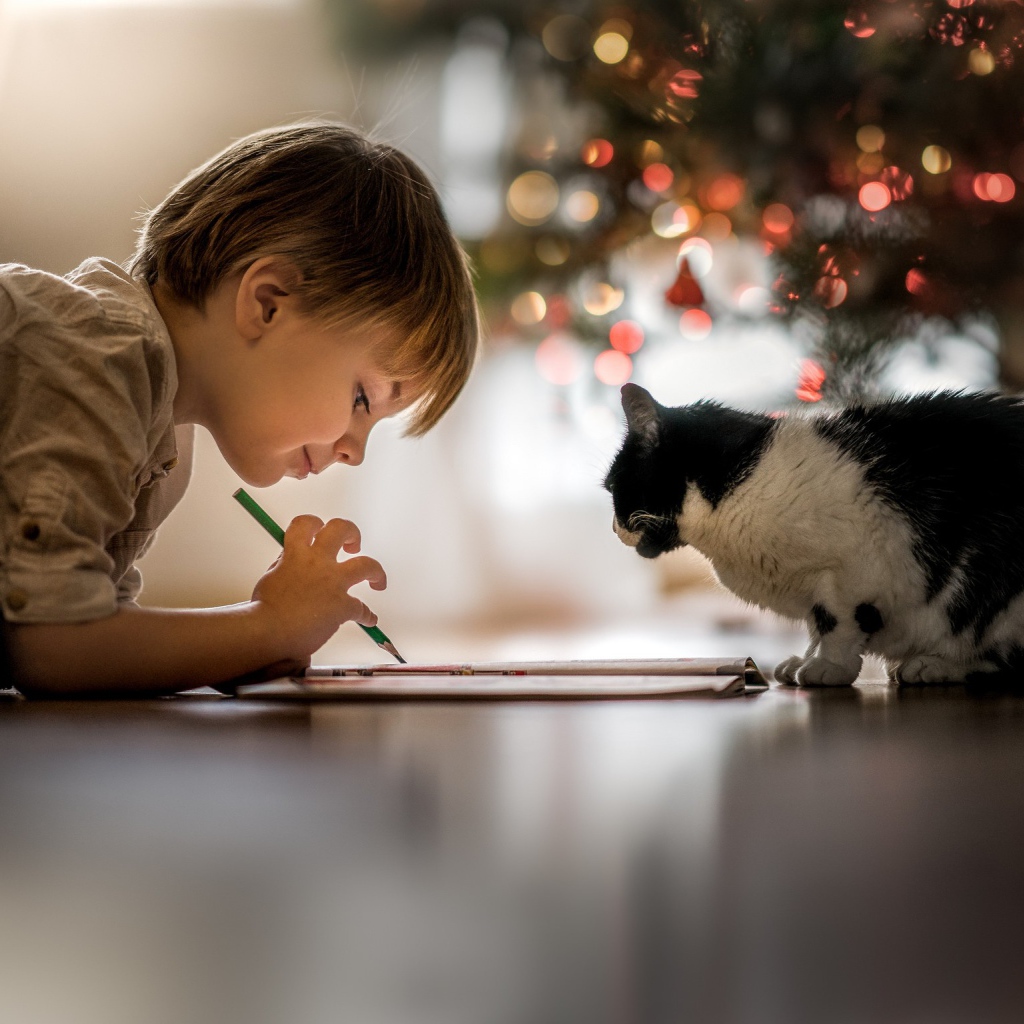 Маленький мальчик рисует с котом 