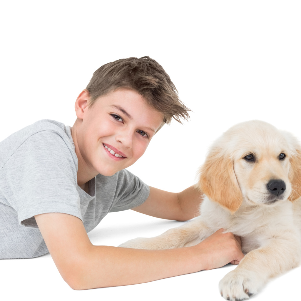 Маленький мальчик с щенком ретривера на белом фоне
