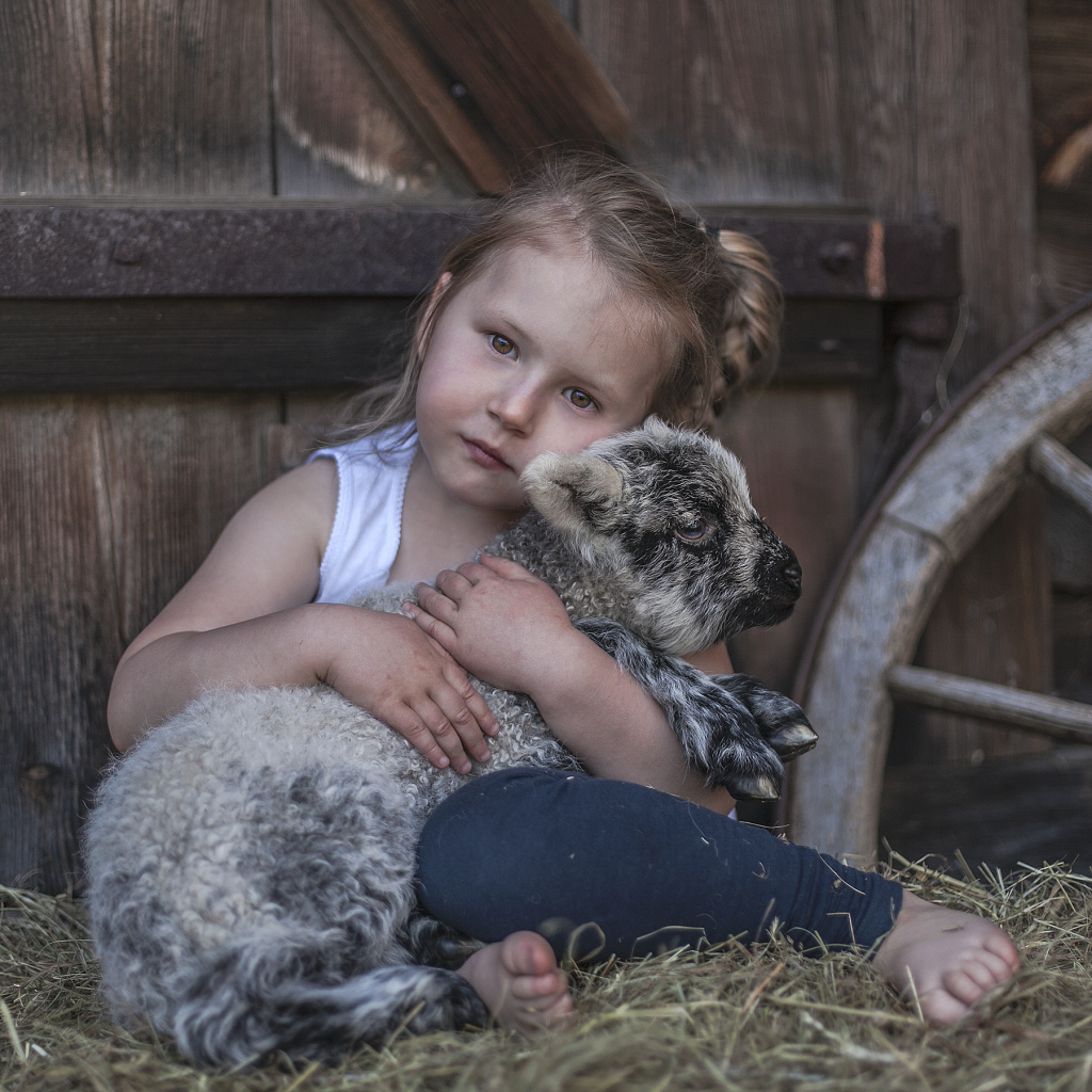 Маленькая кареглазая девочка обнимает ягненка