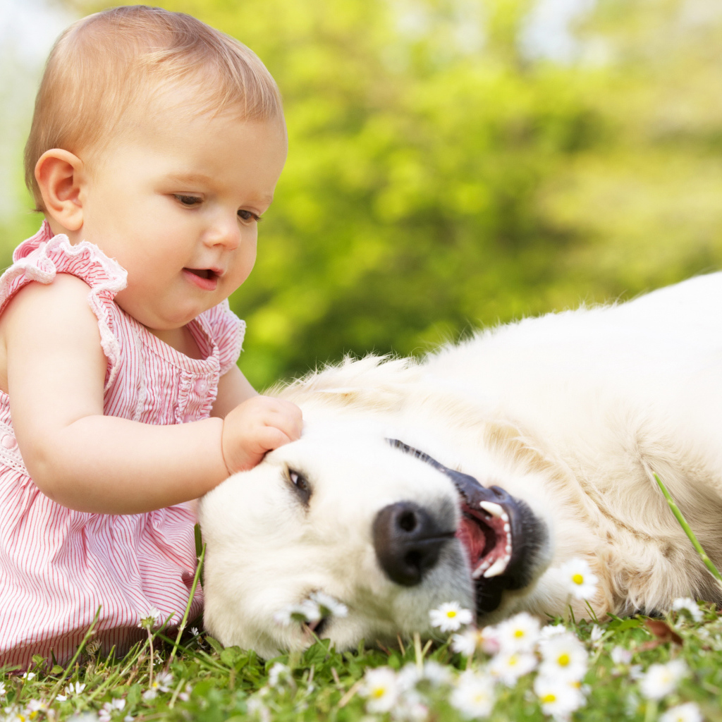 Маленькая милая девочка с большой белой собакой